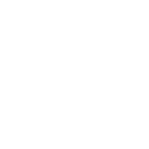 Illustration 3 - Monte-meubles rennes